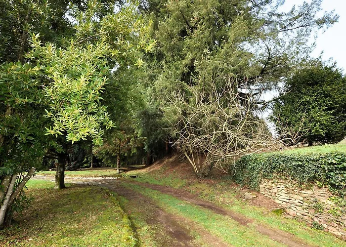 Authentique Maison Piscine Saint-Amans-Valtoret
